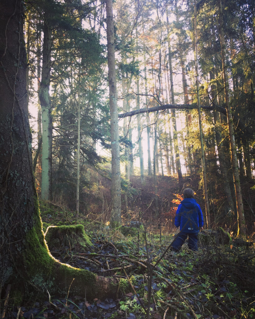 Kind im Wald mit Bäumen